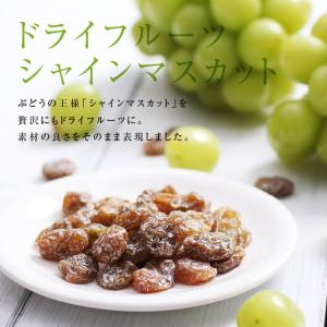 ドライフルーツ シャインマスカット 90g 国...の詳細画像3