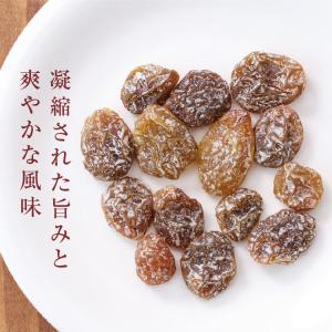 ドライフルーツ シャインマスカット 90g 国...の詳細画像5