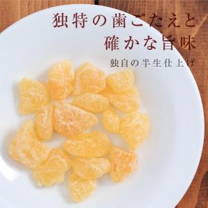ドライフルーツ 和梨 250g 国産 半生ドラ...の詳細画像3