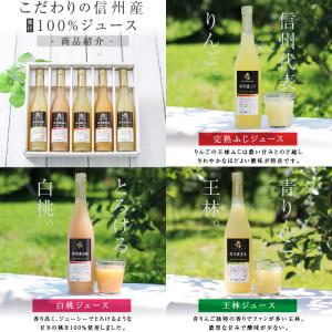 ジュース 100% 5本ギフトセット 国産ジュ...の詳細画像3