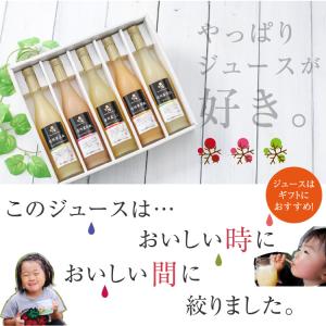 ジュース 100% 5本ギフトセット 国産ジュ...の詳細画像5
