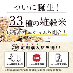 雑穀 33種類配合 20合分 300g クセが...の詳細画像1