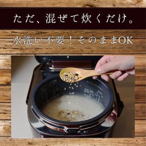 雑穀 33種類配合 20合分 300g クセが...の詳細画像5