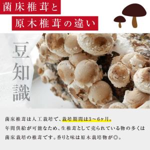 干し椎茸 80g 訳あり 小玉どんこ 椎茸 国...の詳細画像5