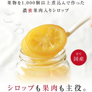 果実シロップ 濃縮果肉入りシロップ1本 フルー...の詳細画像1