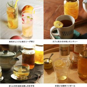 果実シロップ 濃縮果肉入りシロップ1本 フルー...の詳細画像4