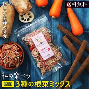 根菜ミックス 100g 3種の生野菜約1kg分 国産野菜 乾燥にんじん 乾燥ごぼう 乾燥れんこん 干し野菜 保存食 便利 サラダ スープ 無添加 常備菜 簡単 時短