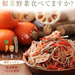乾燥野菜 根菜ミックス 100g 野菜セット ...の詳細画像1