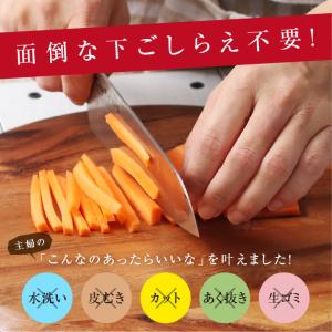 乾燥野菜 根菜ミックス 100g 野菜セット ...の詳細画像2