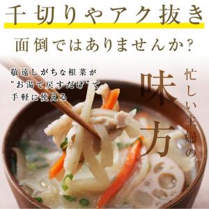 乾燥野菜 根菜ミックス 100g 野菜セット ...の詳細画像3