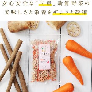 乾燥野菜 根菜ミックス 100g 野菜セット ...の詳細画像4