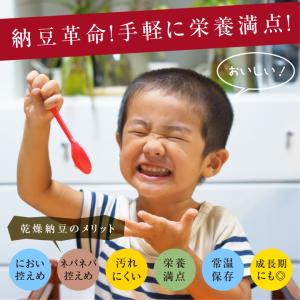 ひきわり乾燥納豆 80g 国産 国産納豆 無添...の詳細画像2