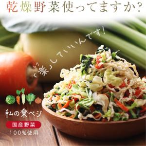 乾燥野菜 ミックス 私の楽ベジ 100g 野菜...の詳細画像2
