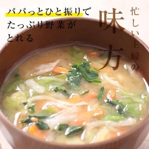乾燥野菜 ミックス 私の楽ベジ 100g 野菜...の詳細画像4