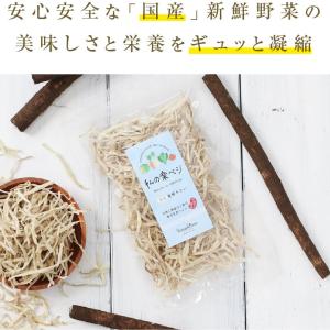 乾燥ごぼう 80g 生野菜約800g分 国産ゴ...の詳細画像4