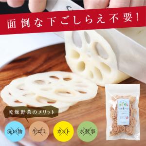 乾燥れんこん 80g 生野菜約800g分 蓮根...の詳細画像2