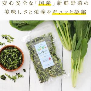 乾燥小松菜 80g 生野菜約800g分 国産コ...の詳細画像4