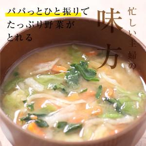 乾燥キャベツ 100g 生野菜約1kg分 キャ...の詳細画像3