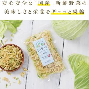 乾燥キャベツ 100g 生野菜約1kg分 キャ...の詳細画像4