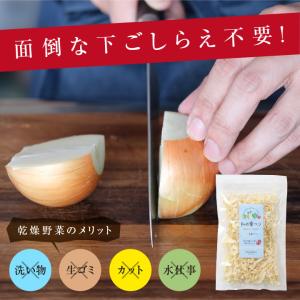 乾燥玉ねぎ 70g 約700g分 タマネギ 国...の詳細画像2