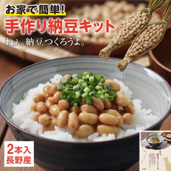 手作り納豆キット 2本入り 納豆 発酵食品 国産大豆 自由研究 食育 特別活動 長野県産 手作りキッ...