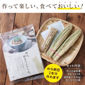 手作り納豆キット 2本入り 納豆 発酵食品 国...の詳細画像4