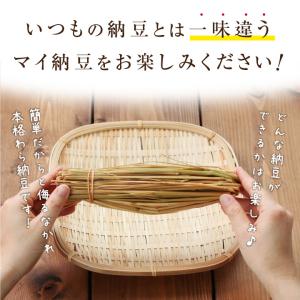 手作り納豆キット 2本入り 納豆 発酵食品 国...の詳細画像5