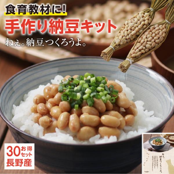 手作り納豆キット 2本入り×30セット 納豆 納豆菌  国産大豆 自由研究 食育教材 特別活動 手作...