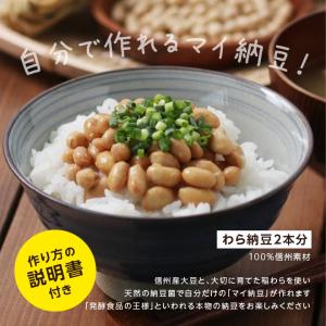 手作り納豆キット 2本入り 本格わら納豆 大豆...の詳細画像2