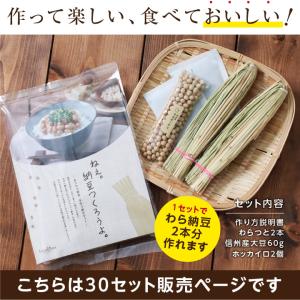 手作り納豆キット 2本入り 本格わら納豆 大豆...の詳細画像4