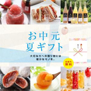 お中元 アイス シャーベット miccaソルベ...の詳細画像1
