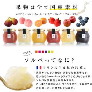 お中元 アイス シャーベット miccaソルベ...の詳細画像2