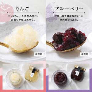 お中元 アイス シャーベット miccaソルベ...の詳細画像5