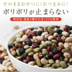 煎り豆ミックス 無添加 国産 私の大豆 500...の詳細画像1