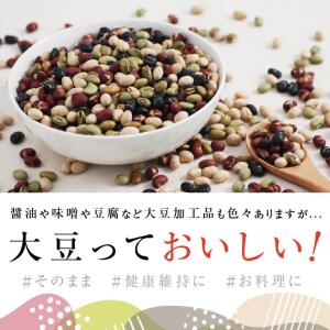 煎り豆ミックス 無添加 国産 私の大豆 500...の詳細画像2