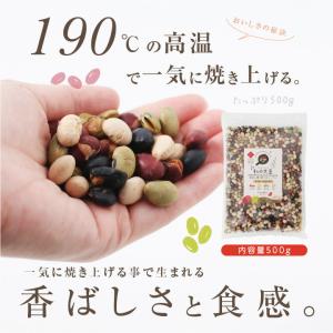 煎り豆ミックス 無添加 国産 私の大豆 500...の詳細画像3