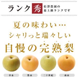 梨 長野県産 送料無料 秀品 3kg 幸水 豊...の詳細画像4