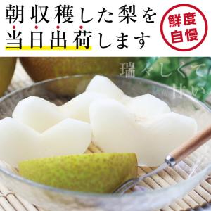 梨 長野県産 送料無料 秀品 5kg 幸水 豊...の詳細画像2