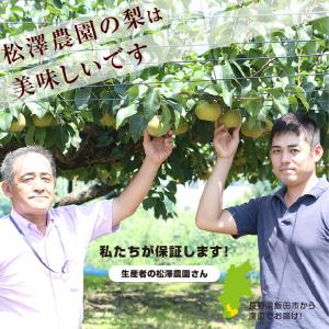 梨 長野県産 送料無料 秀品 5kg 幸水 豊...の詳細画像5