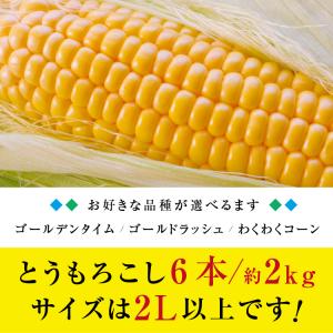とうもろこし 2kg 6本セット 送料無料 ト...の詳細画像3