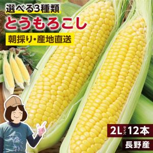 とうもろこし 4kg 12本セット 送料無料 トウモロコシ ゴールデンタイム ゴールドラッシュ わくわくコーン 長野県産 夏野菜 朝採り 爆買