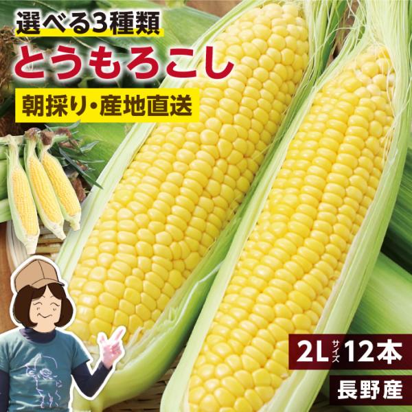 とうもろこし 4kg 12本セット 送料無料 トウモロコシ ゴールデンタイム ゴールドラッシュ わく...