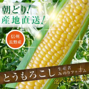 とうもろこし 4kg 12本セット 送料無料 ...の詳細画像1