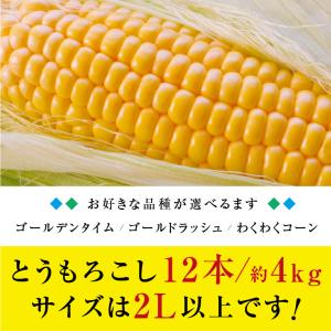とうもろこし 4kg 12本セット 送料無料 ...の詳細画像3