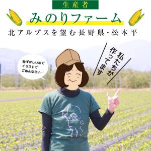 とうもろこし 4kg 12本セット 送料無料 ...の詳細画像4