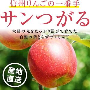 りんご サンつがる 5kg 秀品 14〜20玉...の詳細画像1