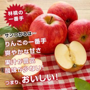 りんご サンつがる 5kg 秀品 14〜20玉...の詳細画像3