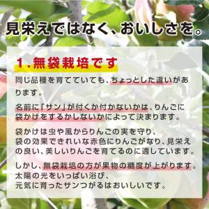 りんご サンつがる 5kg 秀品 14〜20玉...の詳細画像4