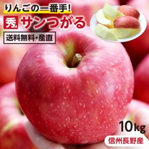 りんご サンつがる 長野県産 10kg 28〜40玉 秀品 送料無料 産地直送 -S09J 葉とらずリンゴ 信州 お取り寄せ 旬の果物 フルーツ ギフト 贈答 超PayPay祭
