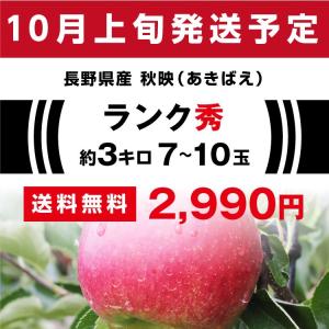 りんご 秋映 3kg 長野県産 秀品 送料無料...の詳細画像2